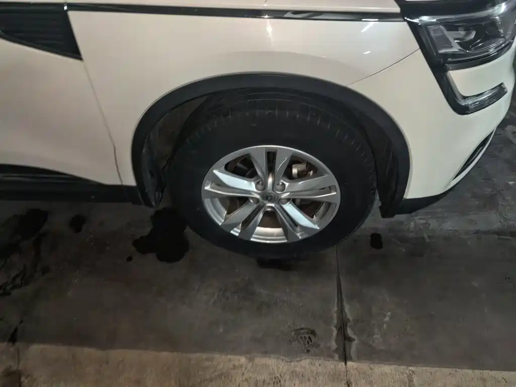 Renault Koleos 2017 2017 2.0L 2WD Leading Edition