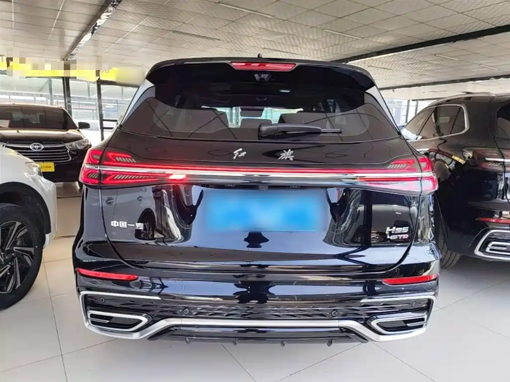 Hongqi HS5 2023 2.0T Flag Enjoy Pro Edition фото 6