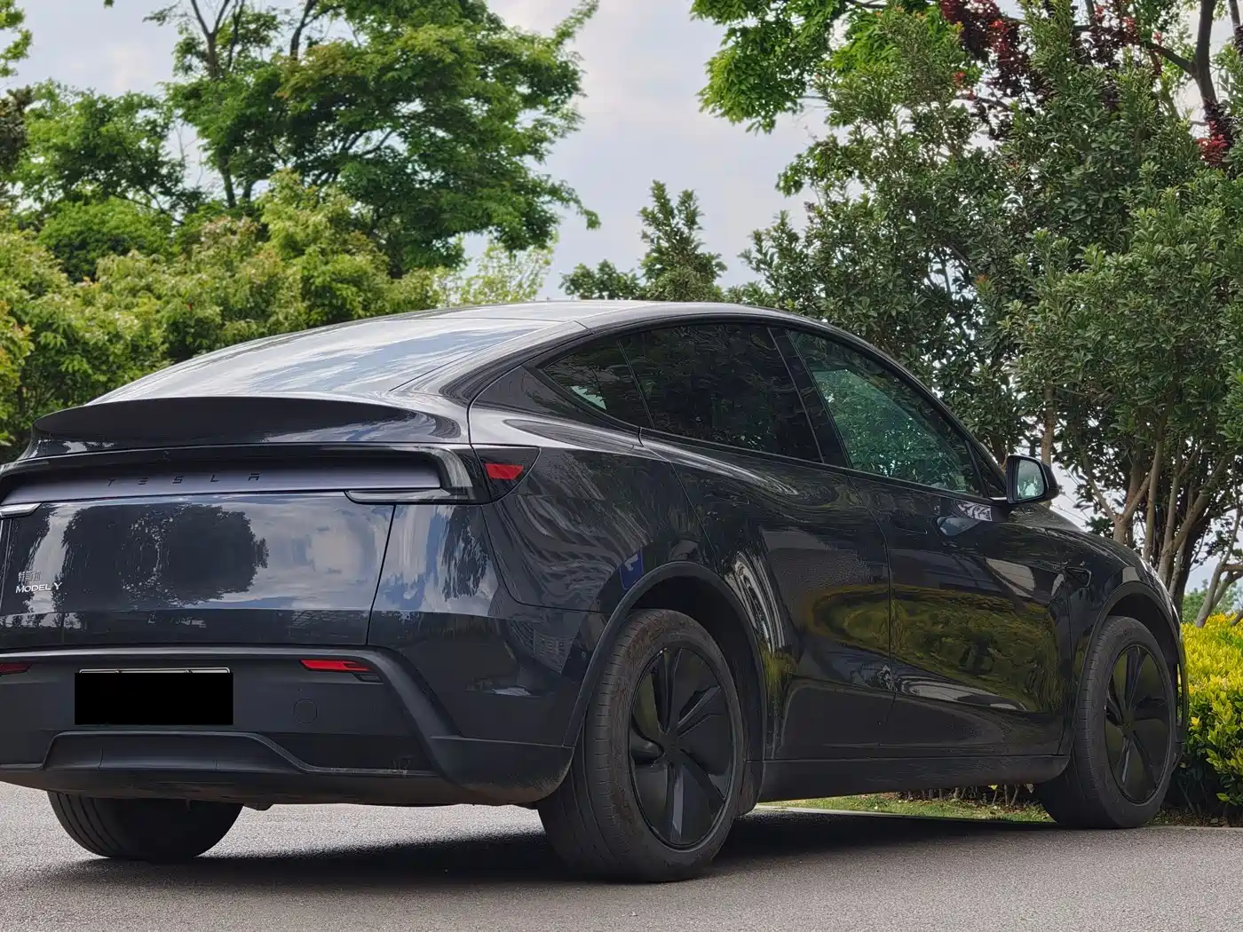 TESLA MODEL Y