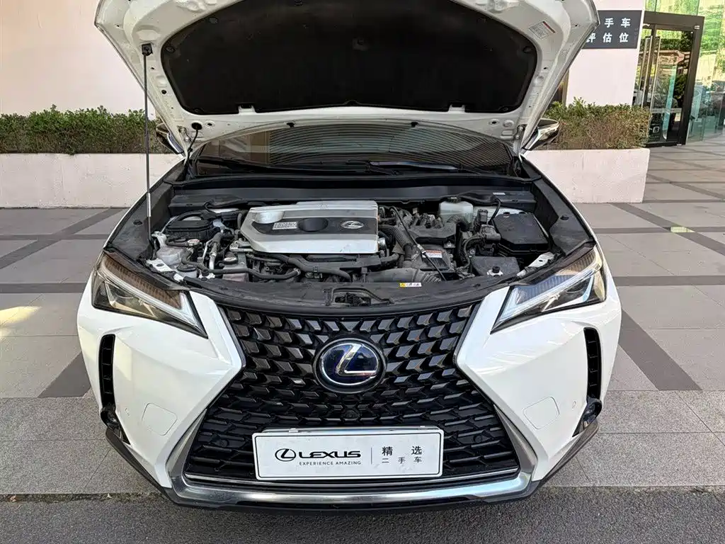 Lexus UX 2021 2020 260h Explore Fun Edition