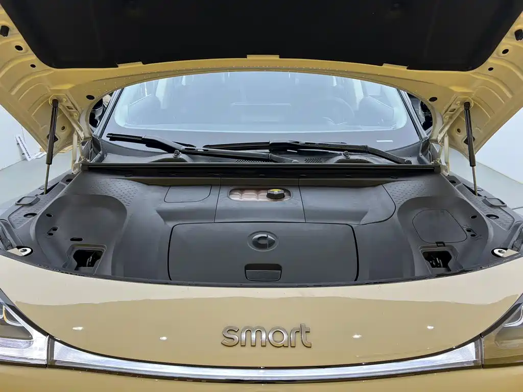 smart Elf #1 2022 2026 Agile New Luxury Edition