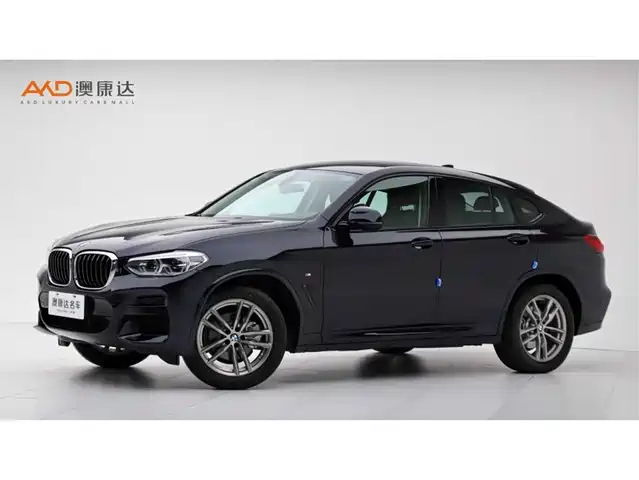 BMW X4 2021 xDrive 25i M Sport Package