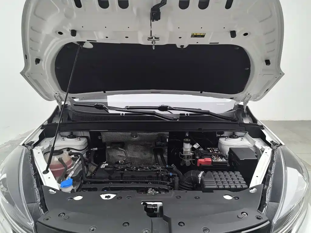 Cowin Xuanjie 2021 2021 1.5L Manual Benefit Edition