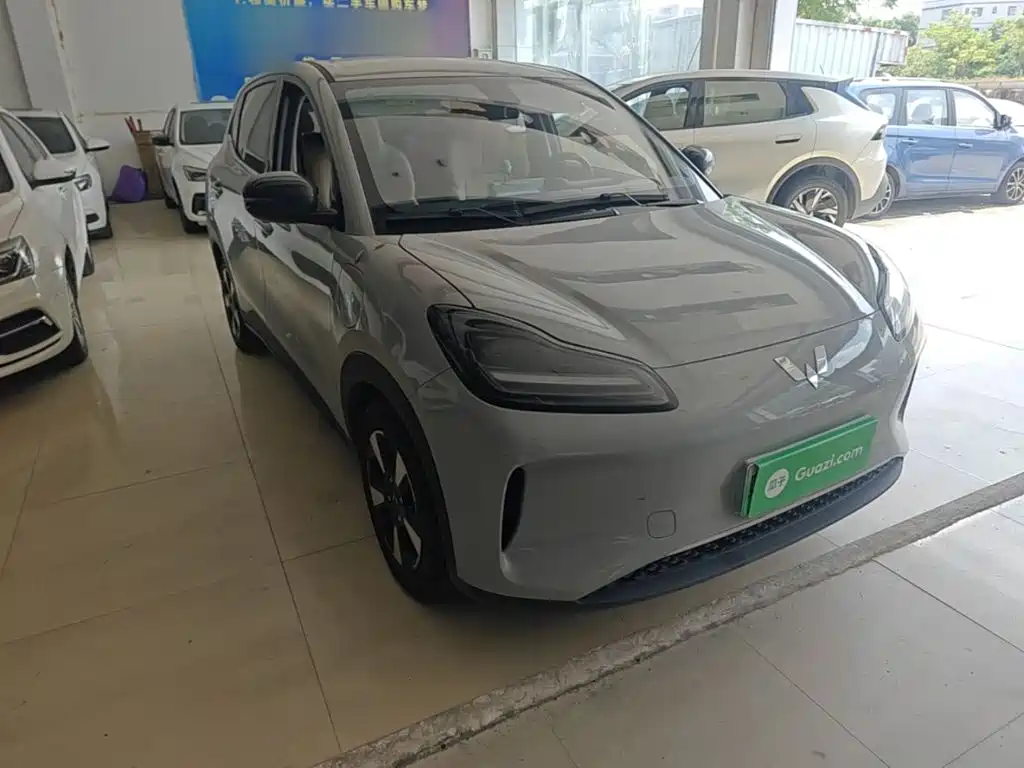 Wuling Motors Wuling Binguo PLUS 2024 2024 Model 330km 5-Seater
