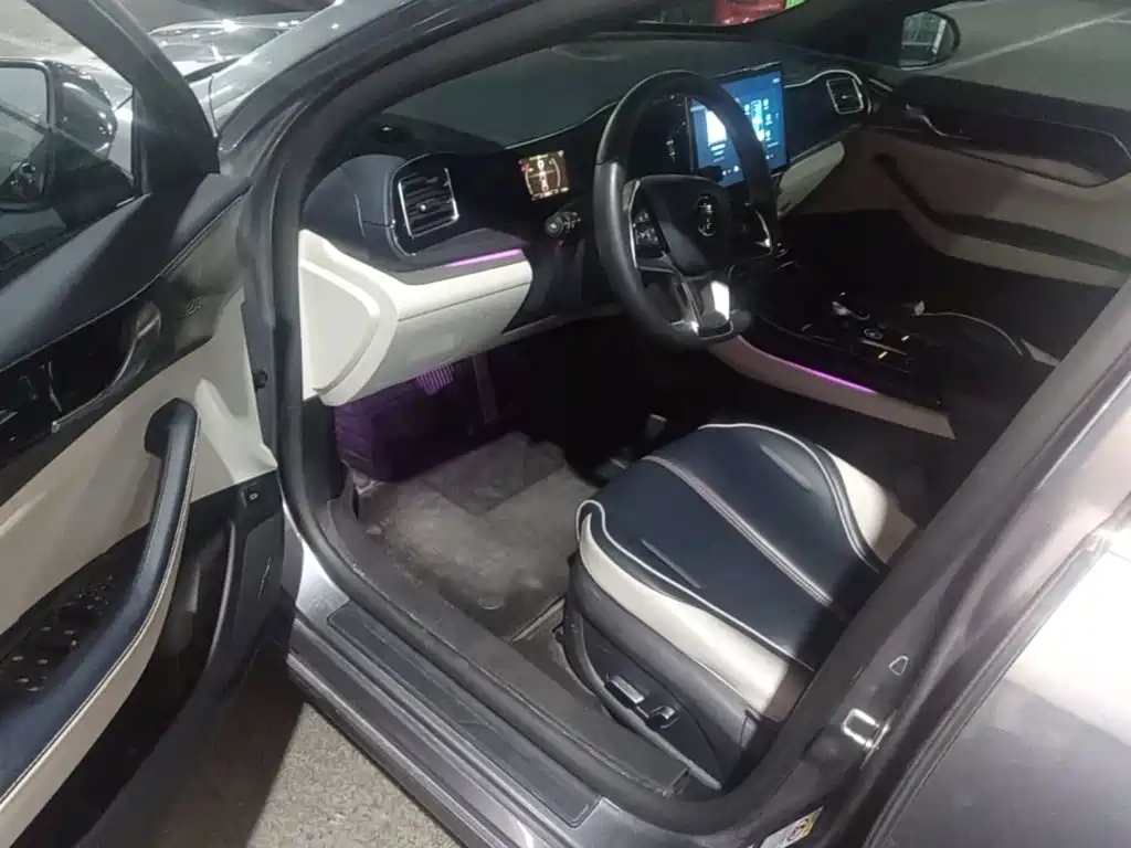 BYD Qin PLUS 2021 2021 EV 500KM Premium Model