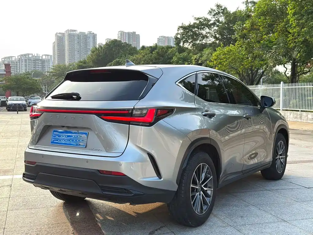 Lexus NX 2023 2022 260 FWD Joy Creation Edition