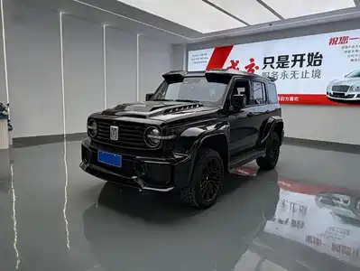 Tank 300