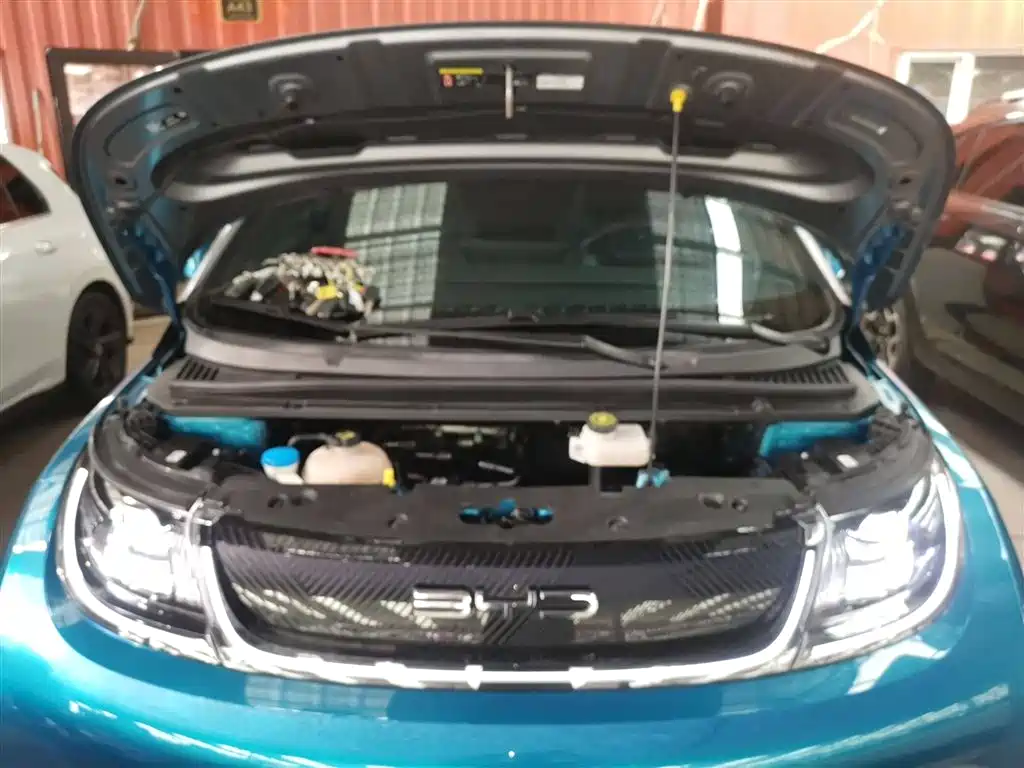 BYD Dolphin 2021 401km Knight Edition фото 17