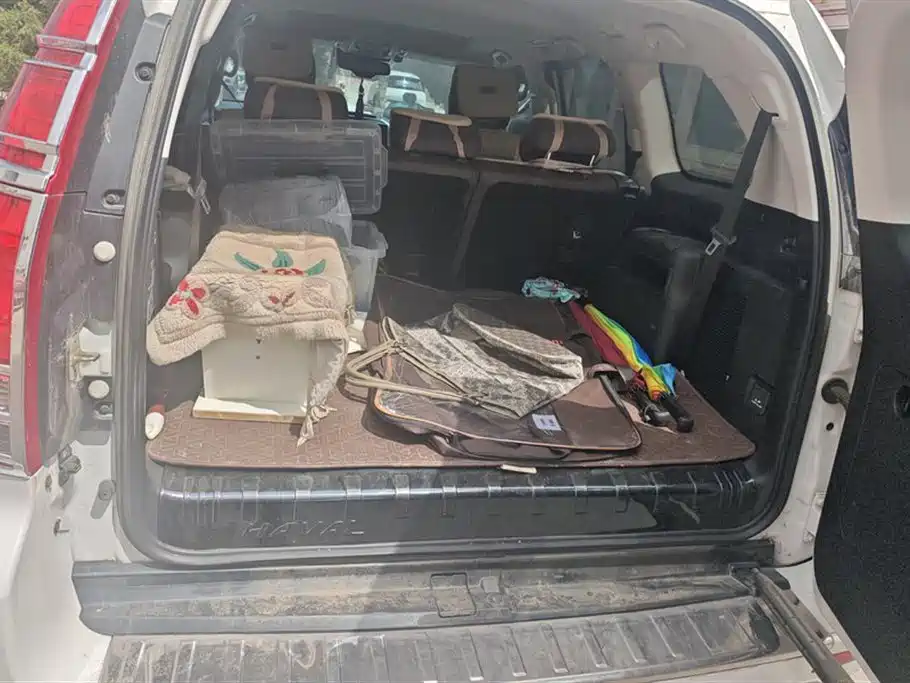 Haval H9 2022 2.0T Gasoline 4WD Luxury 7-seater фото 4