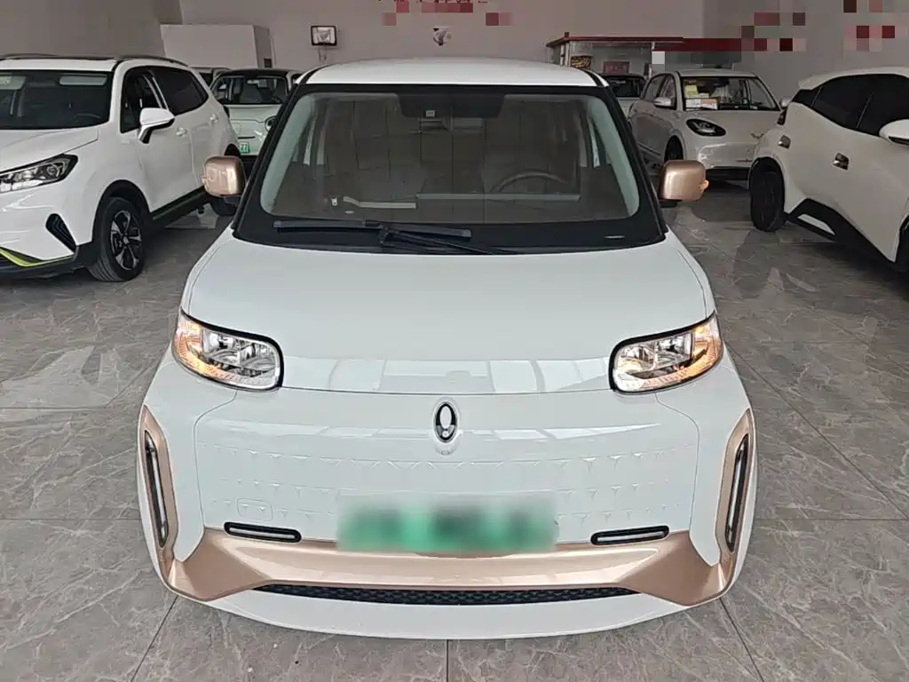 2022 Ora White Cat