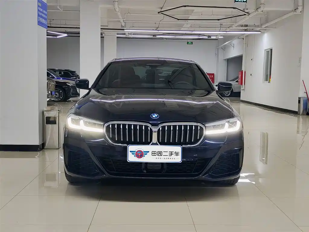 BMW 5 SERIES NEW ENERGY