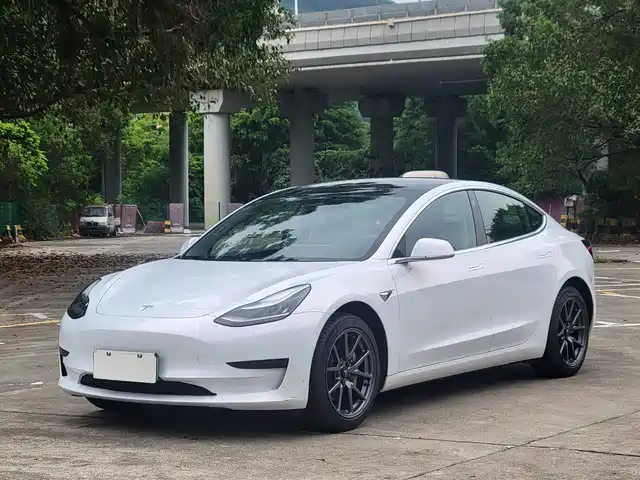 Tesla Model 3 2020 Standard Range Rear-Wheel Drive Upgrade