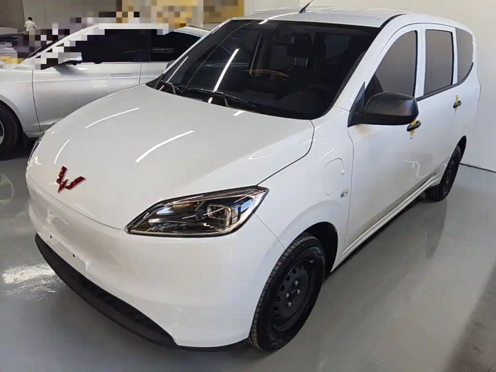 Wuling Motors Wuling Hongguang New Energy 2026 2024 Pure Electric 300KM Standard