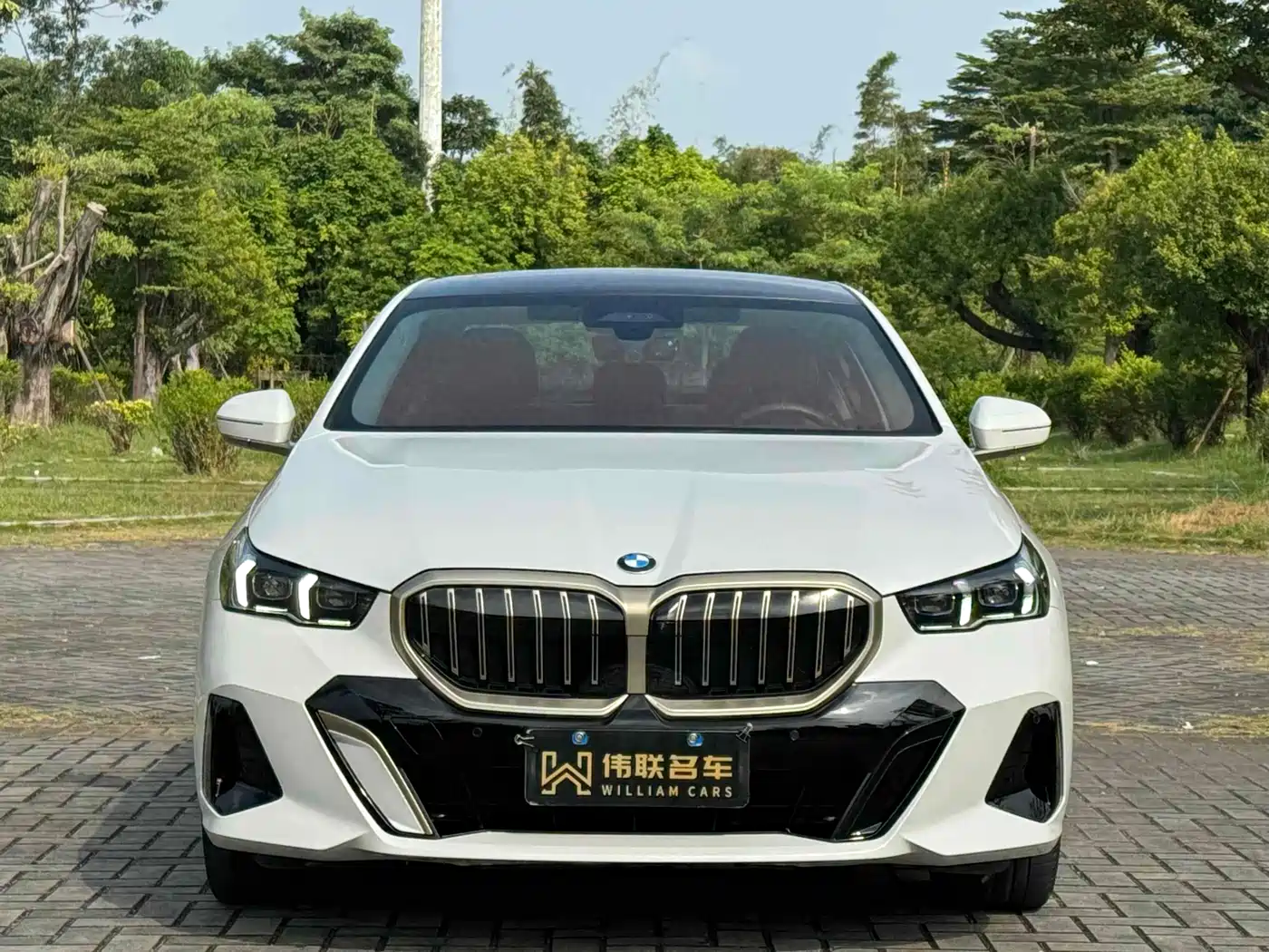 BMW 5 Series 2024 530Li Premium M Sport Package фото 2