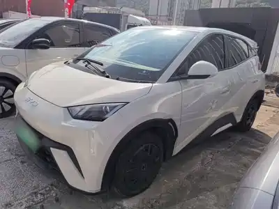 BYD Seagull
