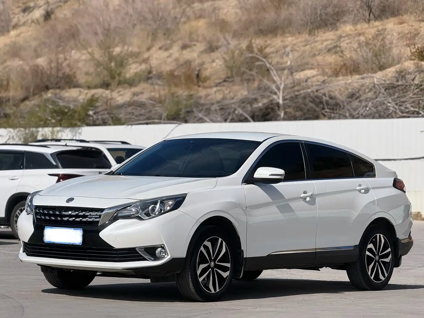 Venucia T90 2017 2017 2.0L Manual Trend