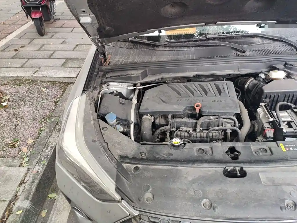 Haval H6 Coupe 2019 2019 1.5T Auto 2WD Elite Edition China VI