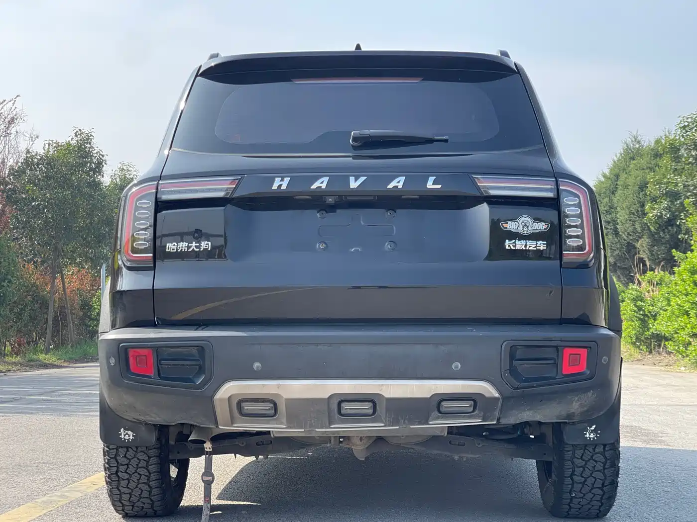 HAVAL BIG DOG
