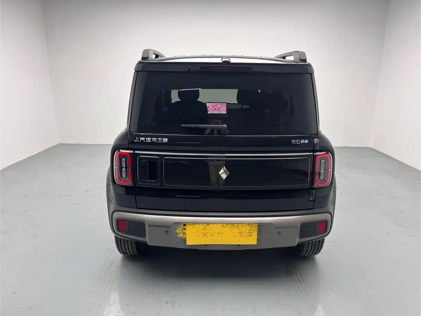 BAOJUN YUE ALSO PLUS