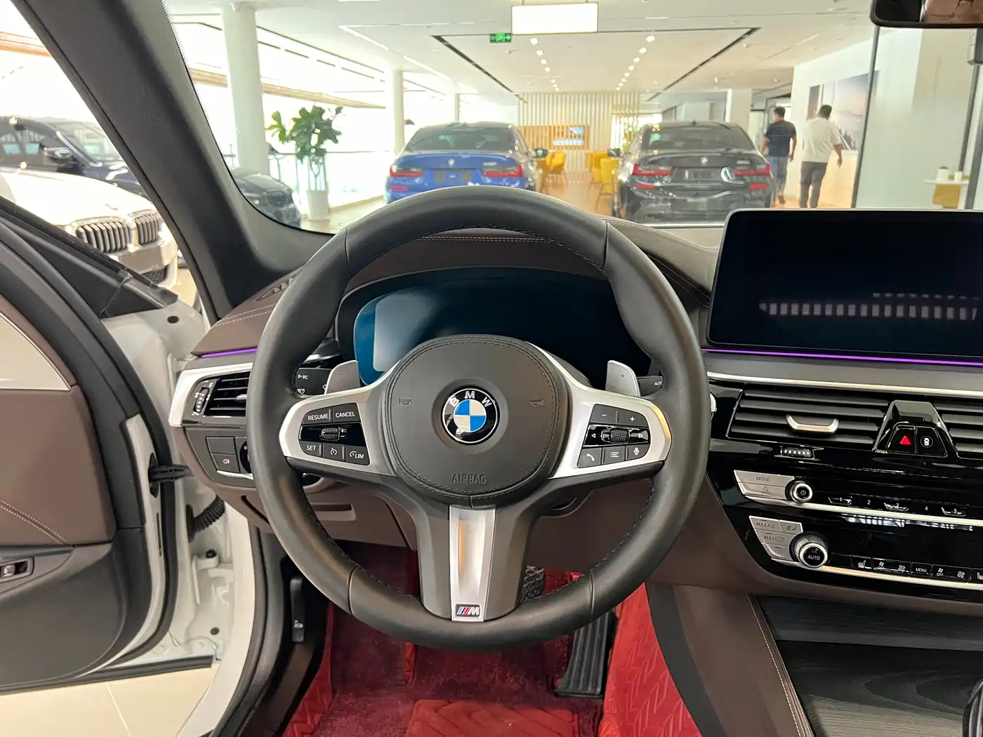 BMW 5 Series 2021 530Li Leading M Sport Package фото 10