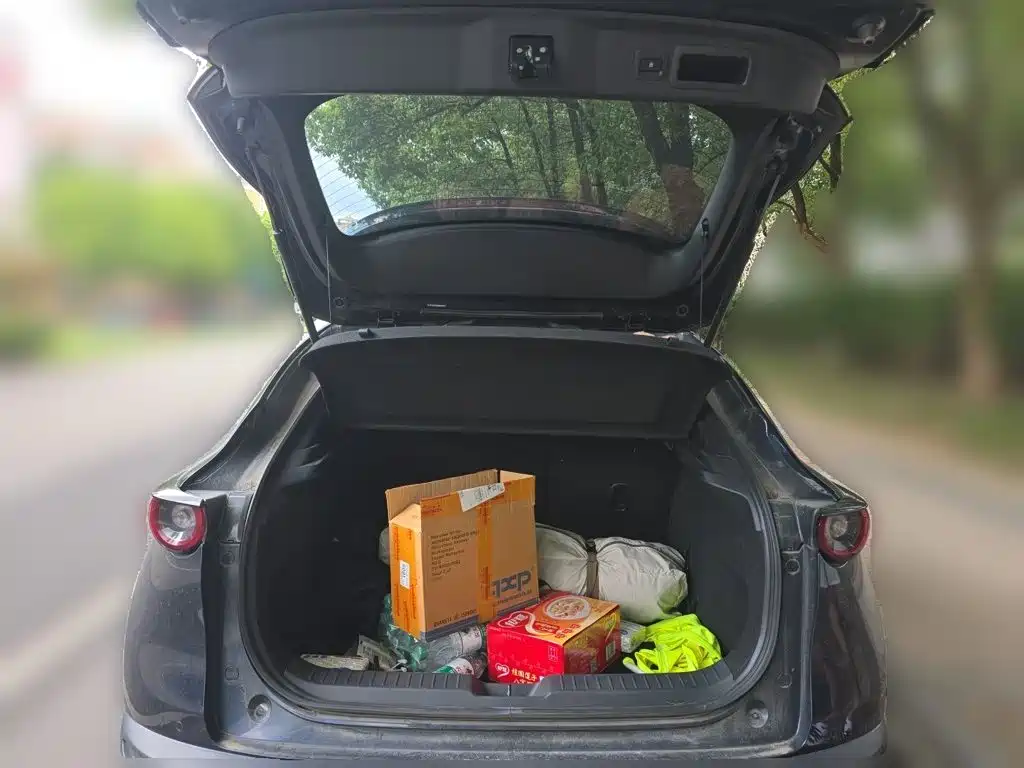 Mazda CX-30 2021 2021 2.0L Auto Premium Joy Type