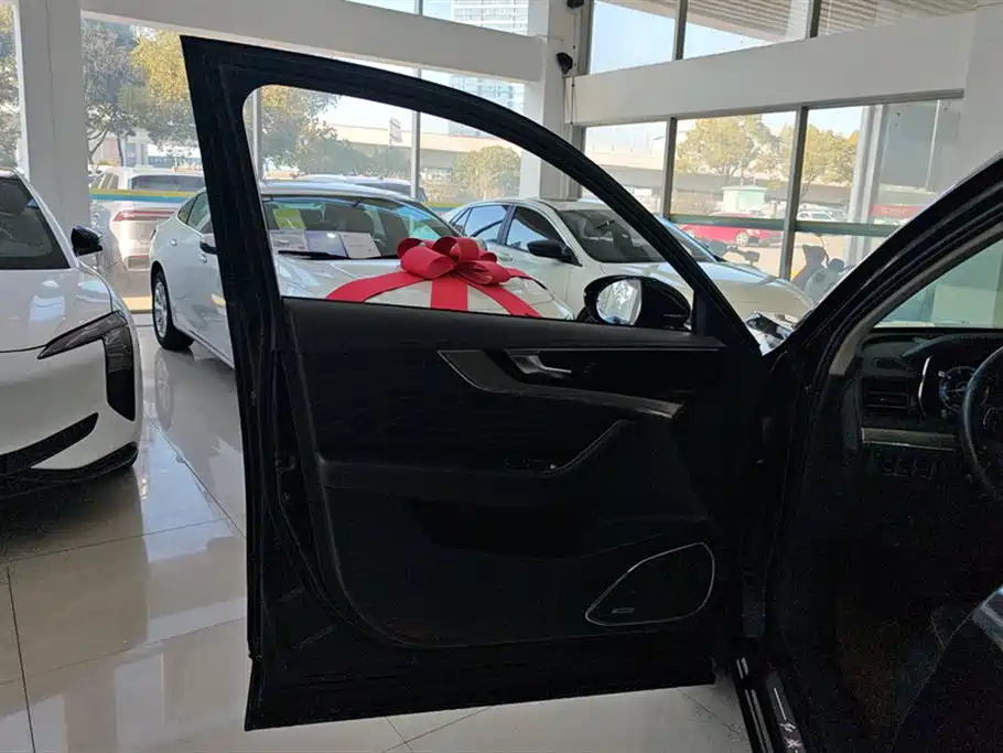 Hongqi HS5 2022 Facelift 2.0T Smart Flag Enjoyment Edition фото 7