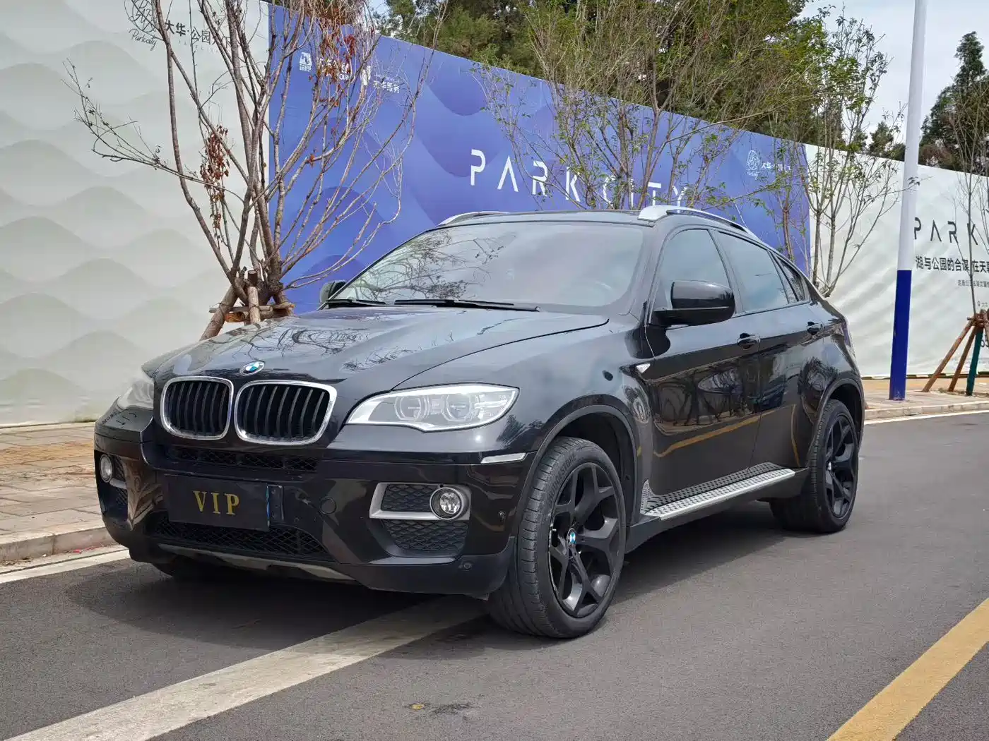 BMW X6 2013 xDrive35i