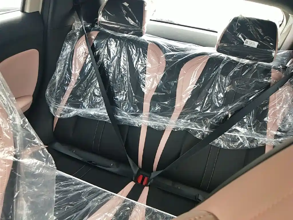 BYD Seagull 2025 Smart Drive Edition 305km Vitality Version фото 17