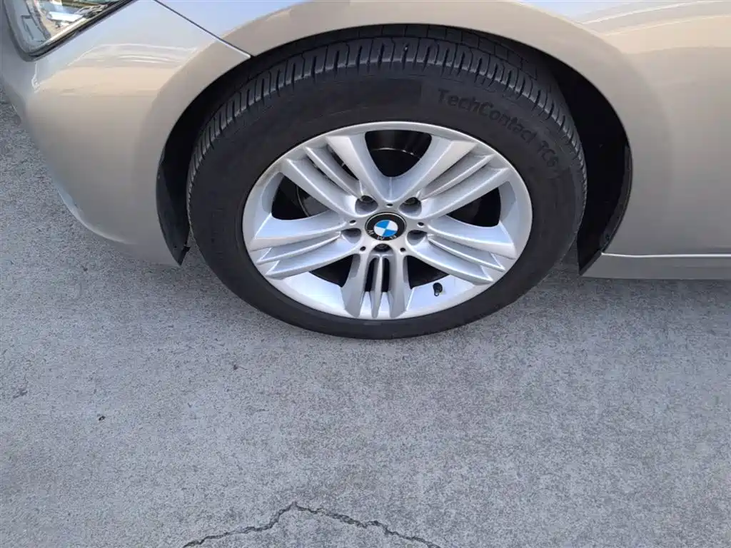 BMW 3 Series 2016 320Li Progressive фото 23