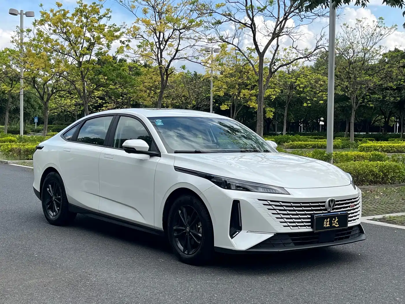 Changan Yida 2023 2023 Blue Whale NE 1.5T GDI DCT Exclusive