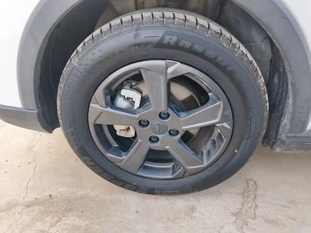 Geely Geometry E Firefly 2022 2022 320KM Well-behaved Tiger 4-seater