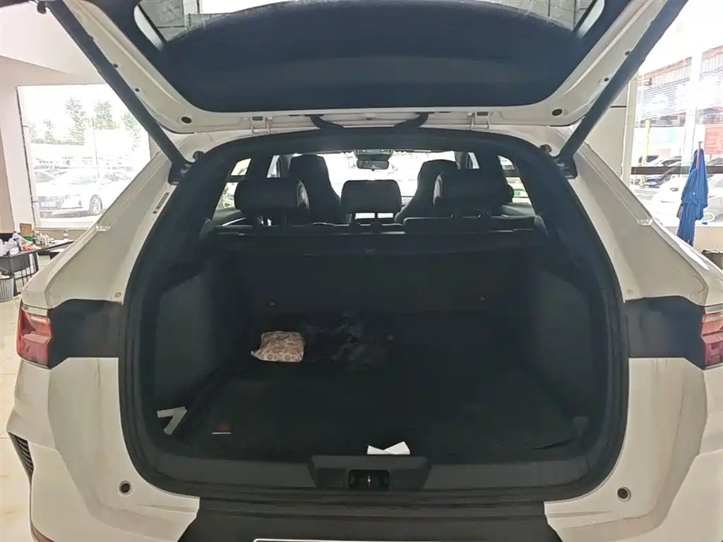 BYD Song PLUS PHEV 2021 DM-i 51KM Honor фото 18