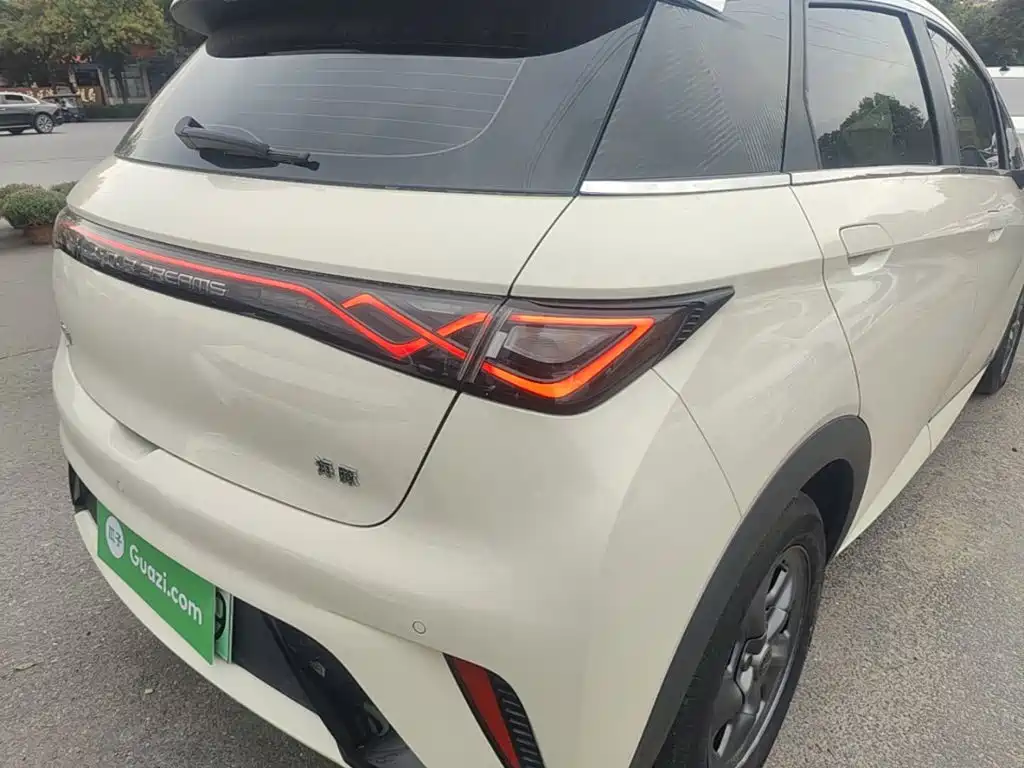 Фото 8 - BYD Dolphin