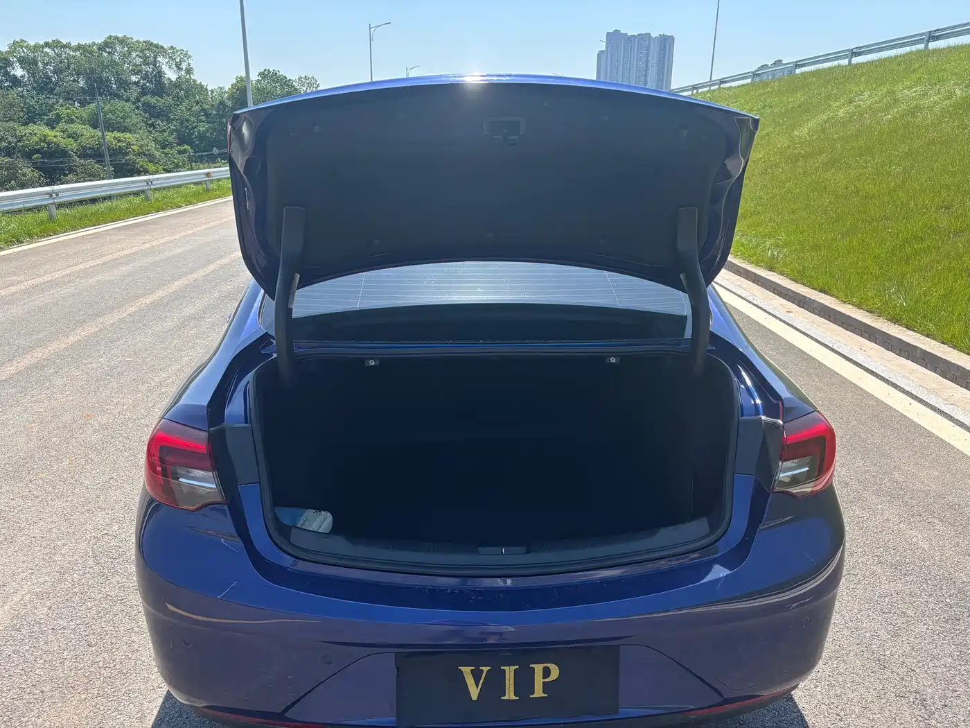 Buick Regal 2017 20T Elite Type фото 20
