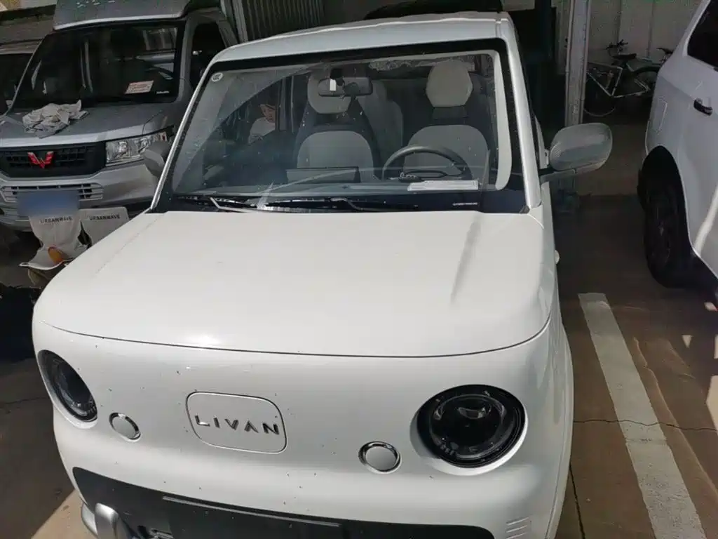 Ruilan Auto Ruilan Blue Elf 2026 2025 Base Model
