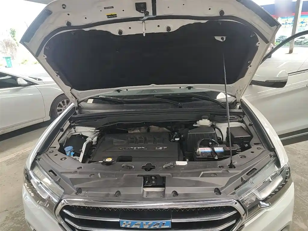 Haval H6 Coupe 2016 Blue Label 1.5T Automatic 2WD Urban фото 20
