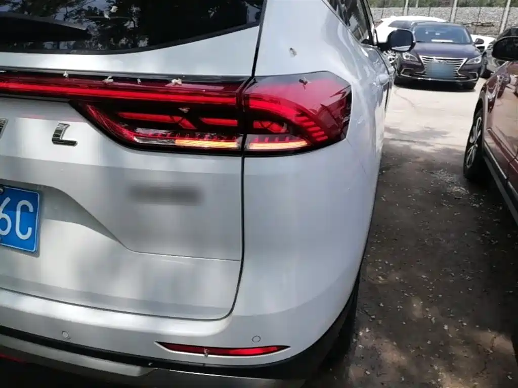 Haval H6 2023 National Trend Edition 1.5T Automatic Champion фото 8