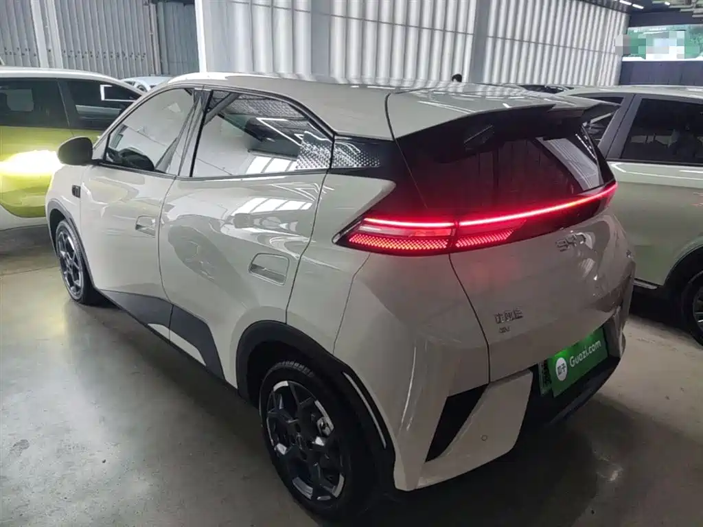 BYD Seagull 2025 Smart Drive Edition 305km Freedom Version фото 5