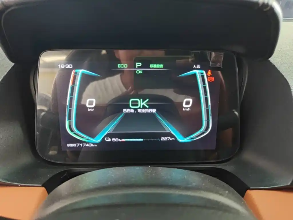BYD e2 2022 2021 Luxury Edition