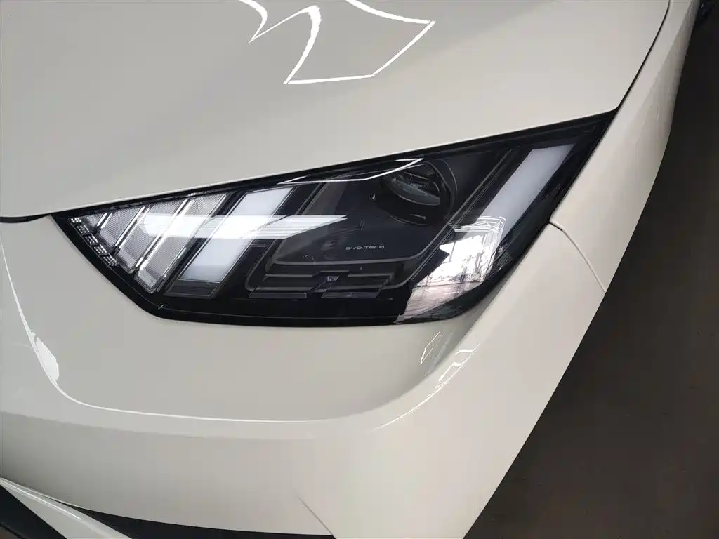 BYD Seagull 2025 Smart Drive Edition 305km Freedom Version фото 24