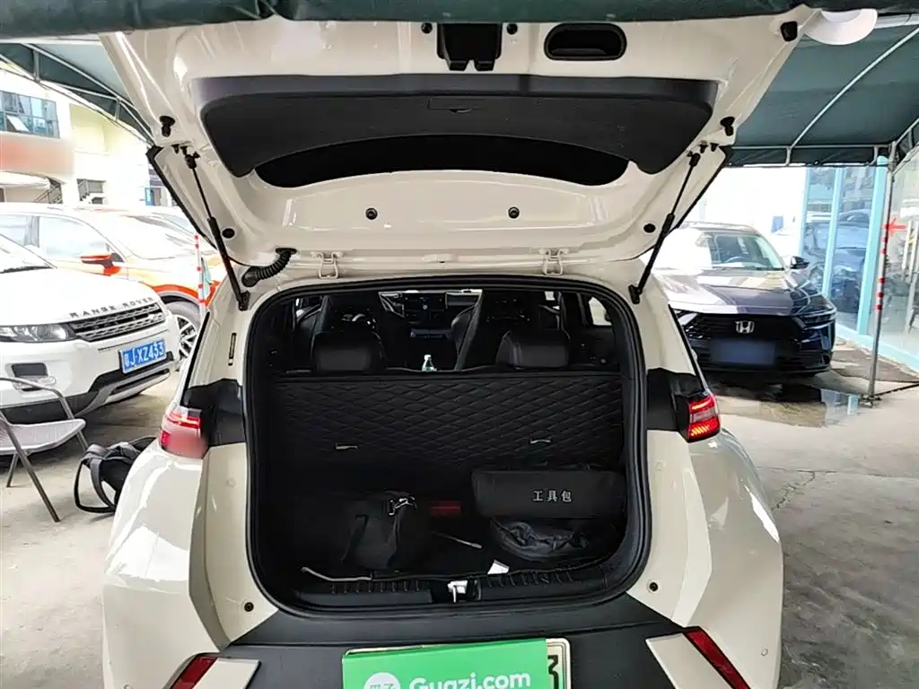 BYD Seagull 2024 Glory Edition 305km Vitality Edition фото 19