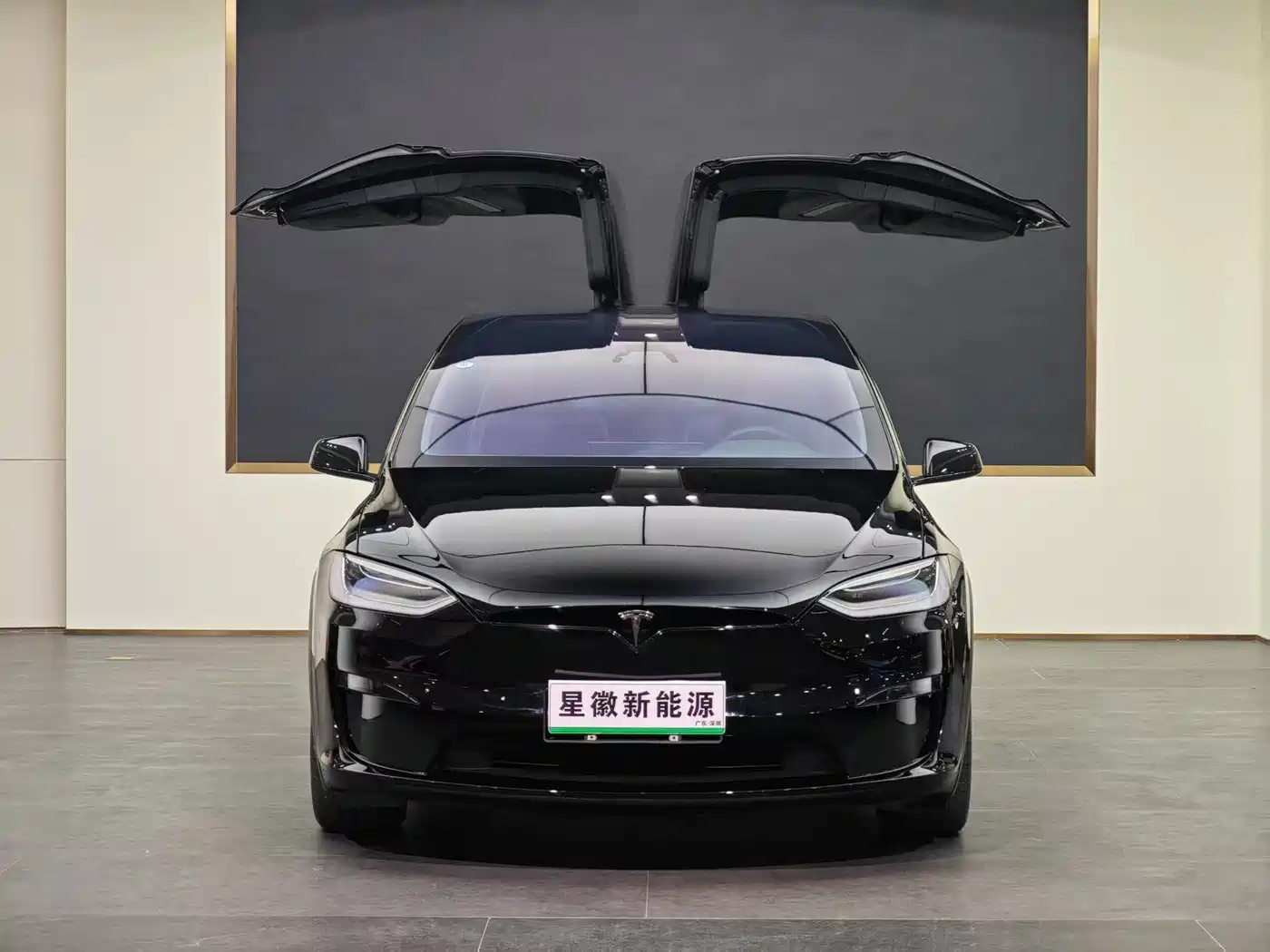 TESLA MODEL X