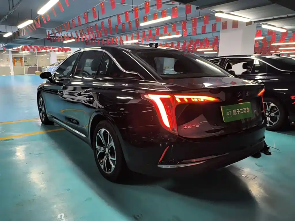 Фото 5 - Hongqi E-QM5