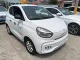 Фото 4 - Roewe Clever