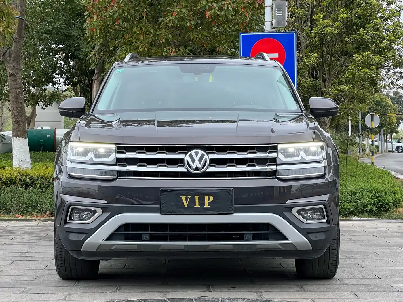 Volkswagen Teramont 2019 380TSI 4WD Luxury Edition China VI фото 2