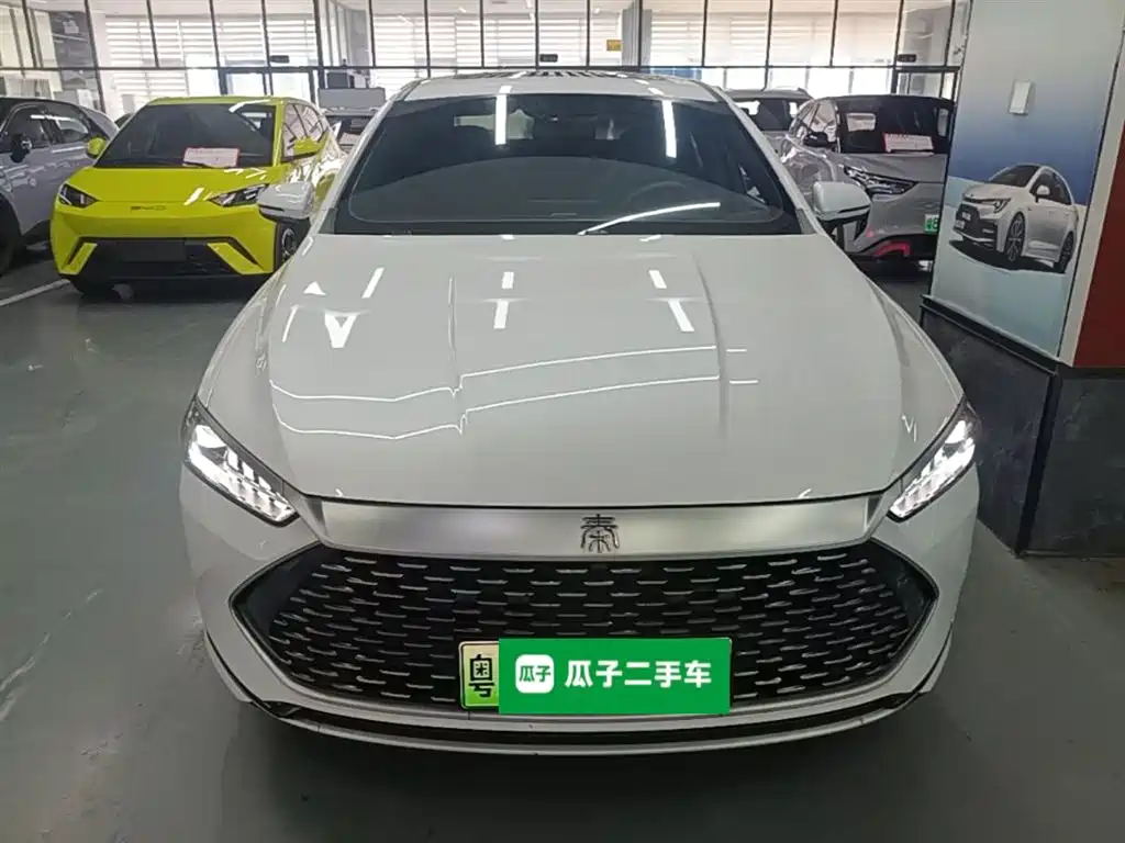 BYD Qin PLUS 2021 DM-i 55KM Flagship фото 3