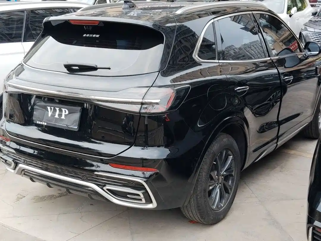 Hongqi HS5 2023 2.0T Flag Joy Pro Edition фото 10