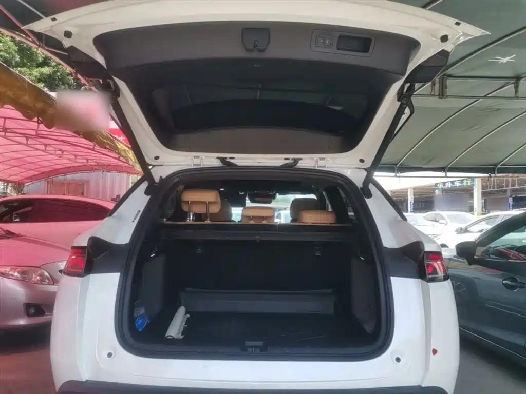 BYD Song L DM-i 2025 Smart Drive 160km Premium фото 19
