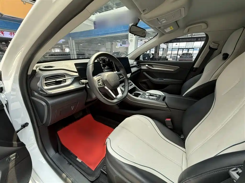 BYD Destroyer 05 2024 Glory Edition DM-i 55KM Luxury фото 13