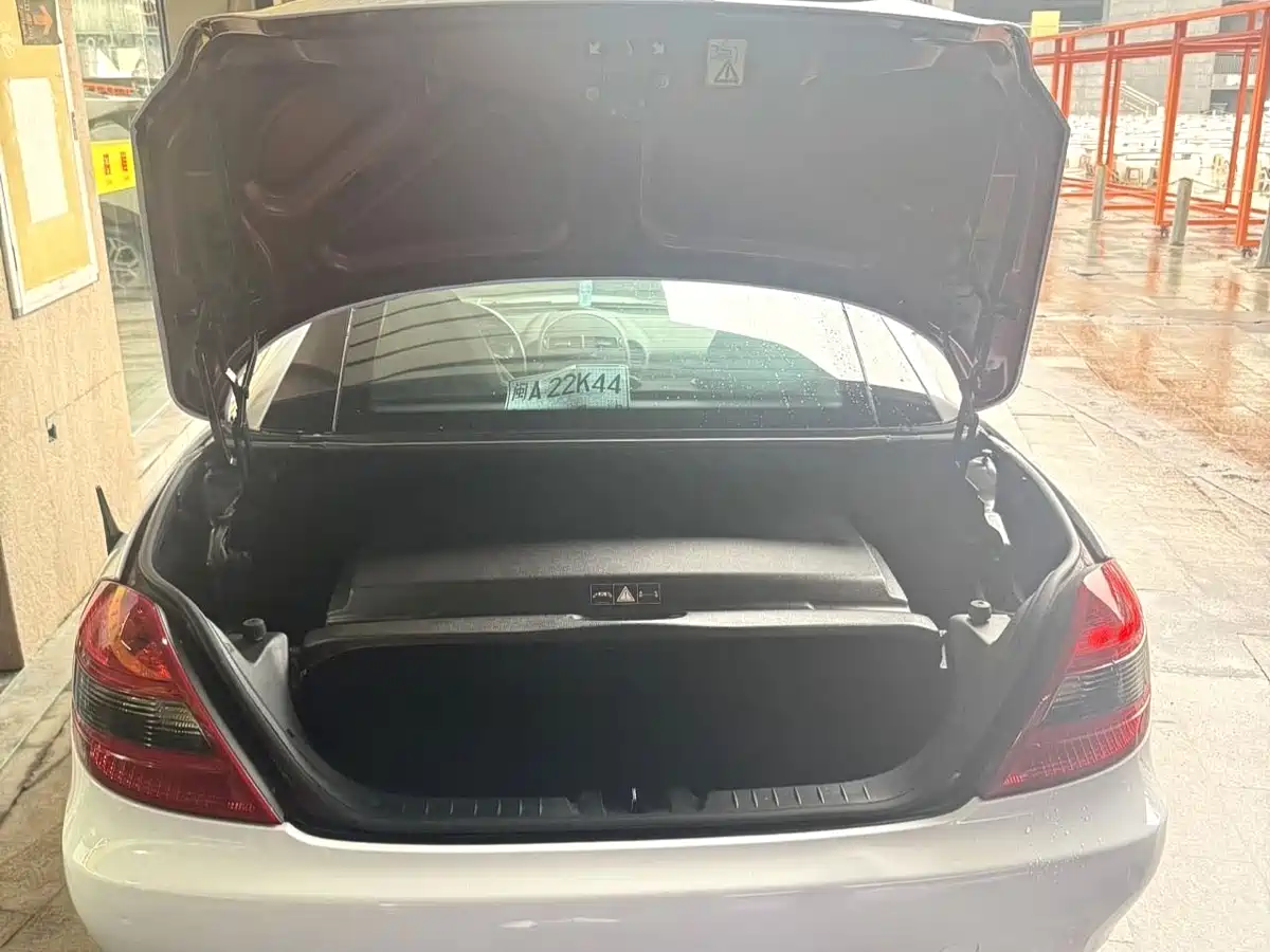 Mercedes-Benz SLK-Class 2010 Model SLK 300 Grand Edition фото 6